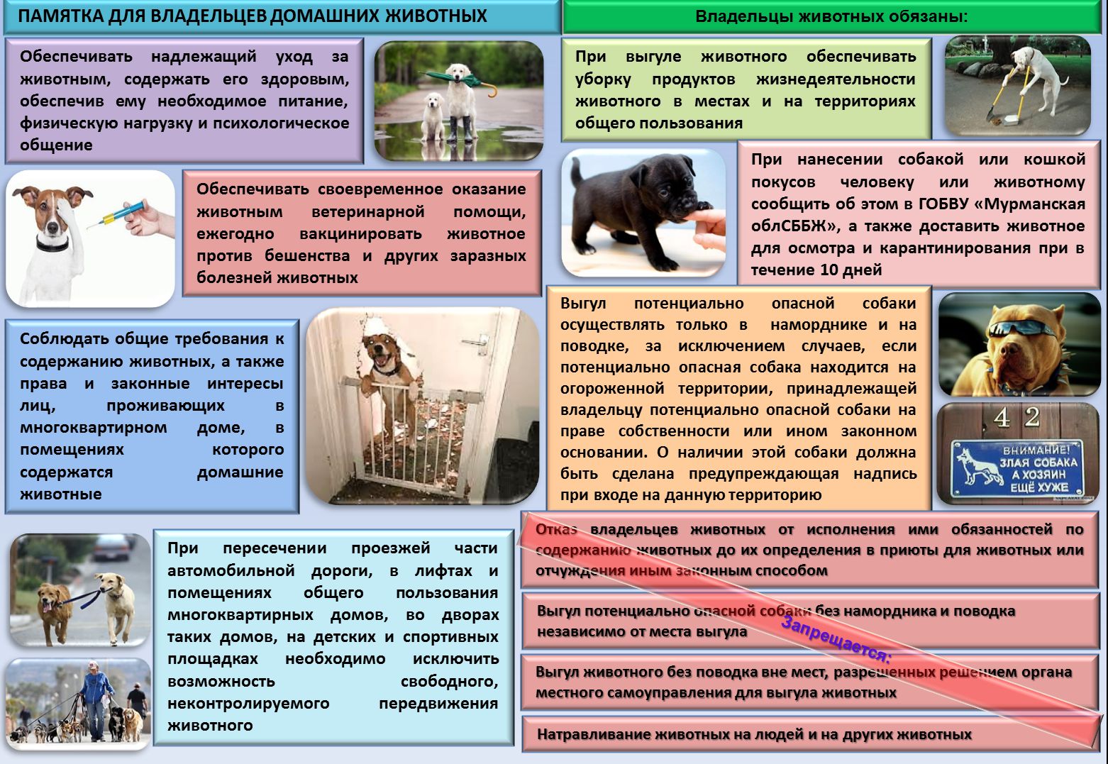 Презентация правила обращения с домашними животными